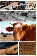 Cargar imagen en el visor de la galería, NASÀU - Mochila de viajeros para el portátil - 7 colores